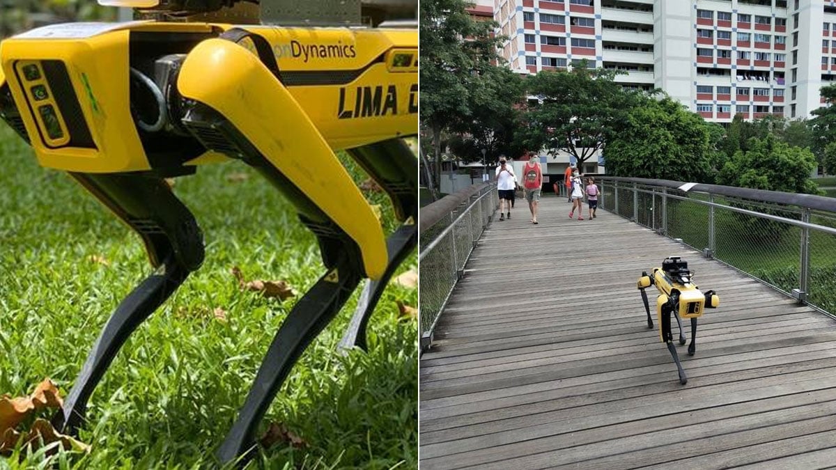 Coronavirus: Ein „Robodog“ patrouilliert im Park von Singapur