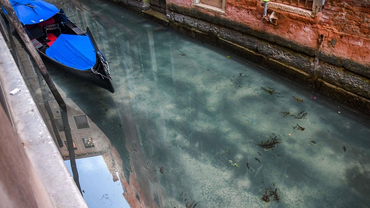 Coronavirus: Glasklares Wasser in Venedigs Kanälen