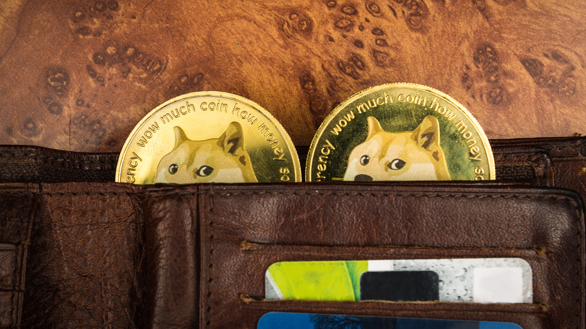 Shiba Inu: Kryptoinvestor:in macht mit 8.000 Dollar Milliardengewinn