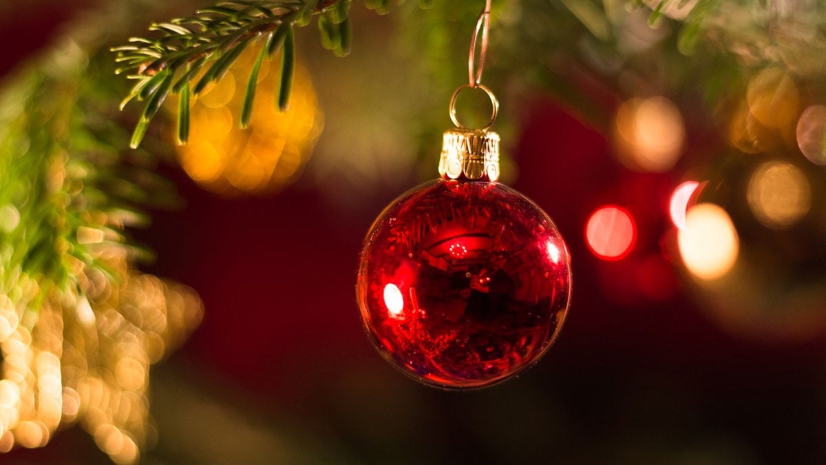 10 Fakten über den Weihnachtsbaum