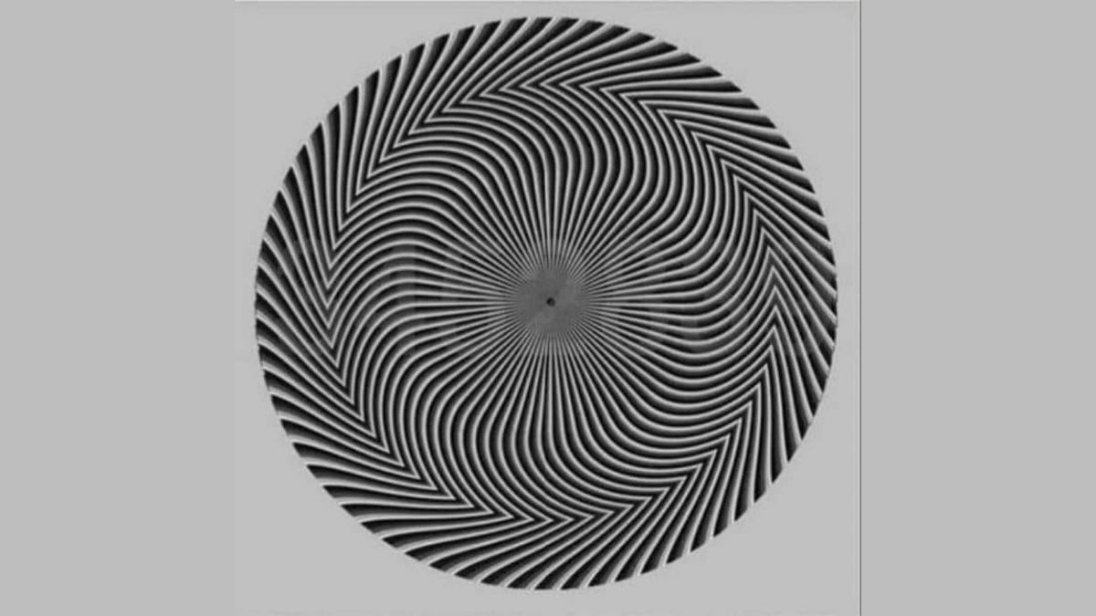 Optische Täuschung: Wie viele Zahlen sind hier zu sehen?
