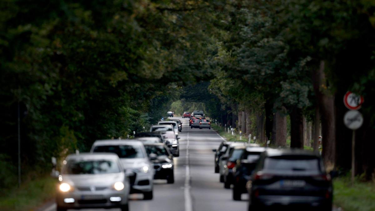 Dinge die beim Autofahren verboten oder erlaubt sind!