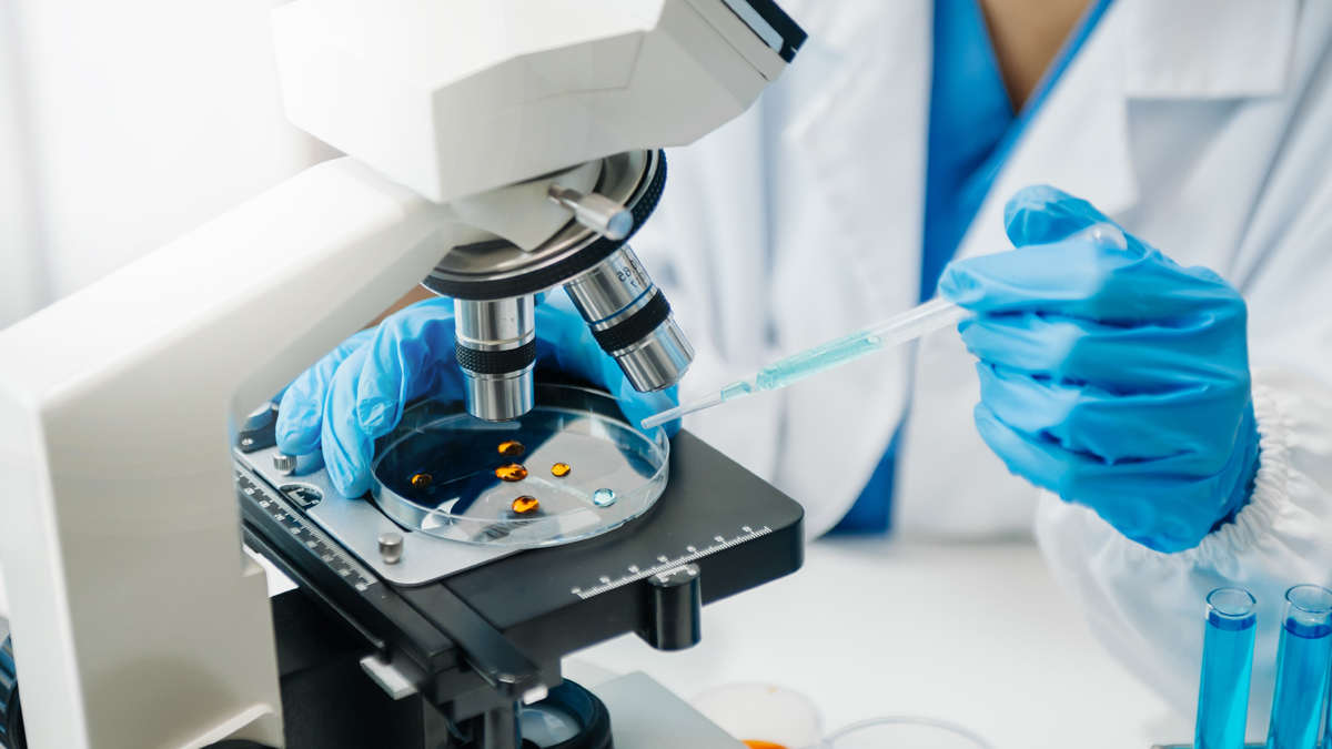 West-Nil-Virus in Deutschland nachgewiesen – Experten schlagen Alarm