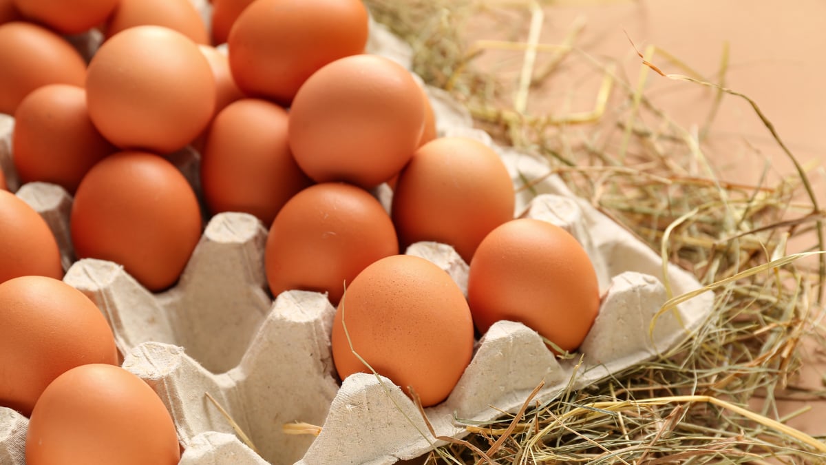 Braune Eier sollen aus dem Supermarkt verschwinden: Änderung für Millionen Kunden kommt