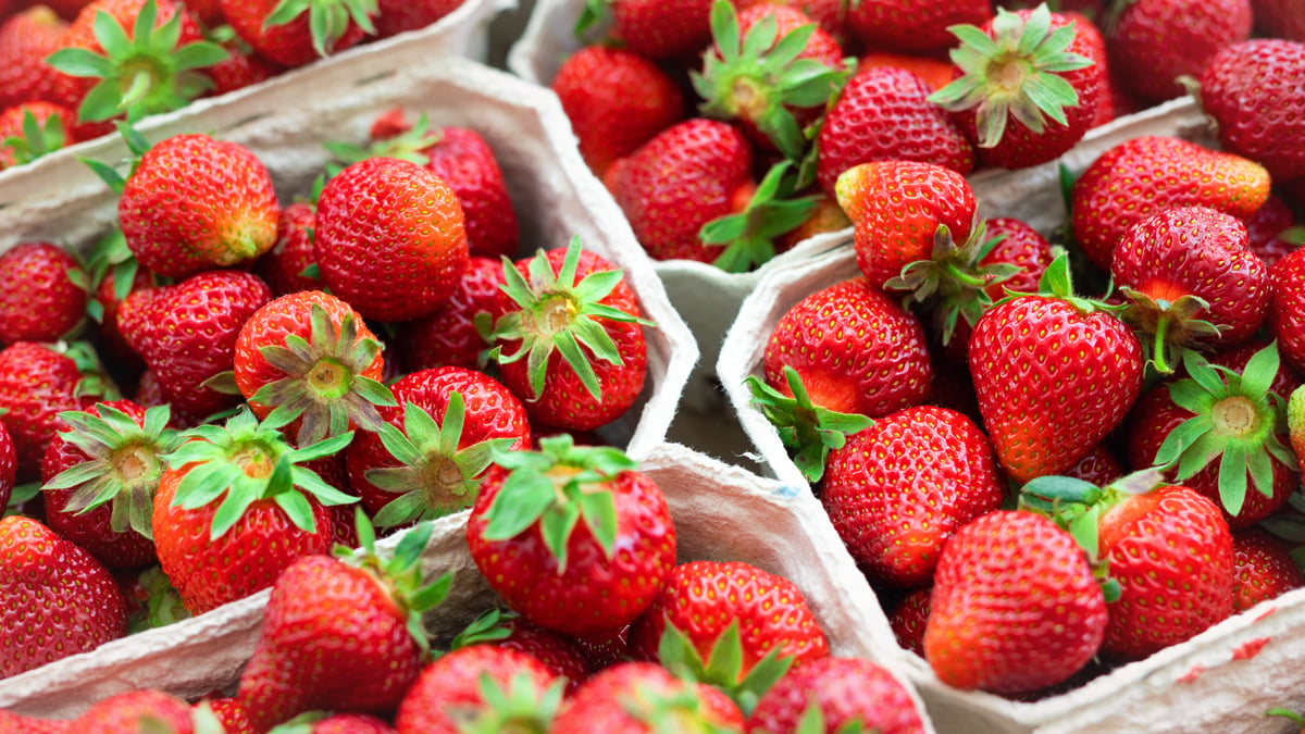 Erdbeeren und Himbeeren aus dem Supermarkt: Deshalb sollte man sie im Winter nicht kaufen