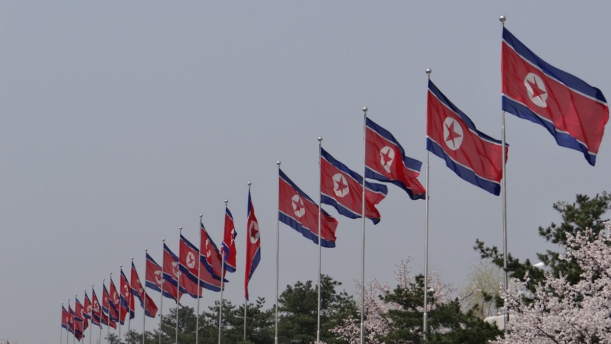 Flaggen Nordkorea in einer Reihe