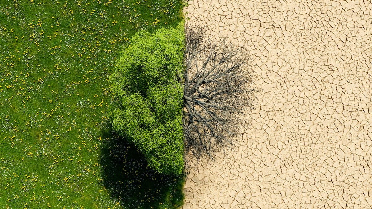 UN-Wissenschaftler warnen: So wenig Zeit bleibt noch, um den Klimawandel zu begrenzen