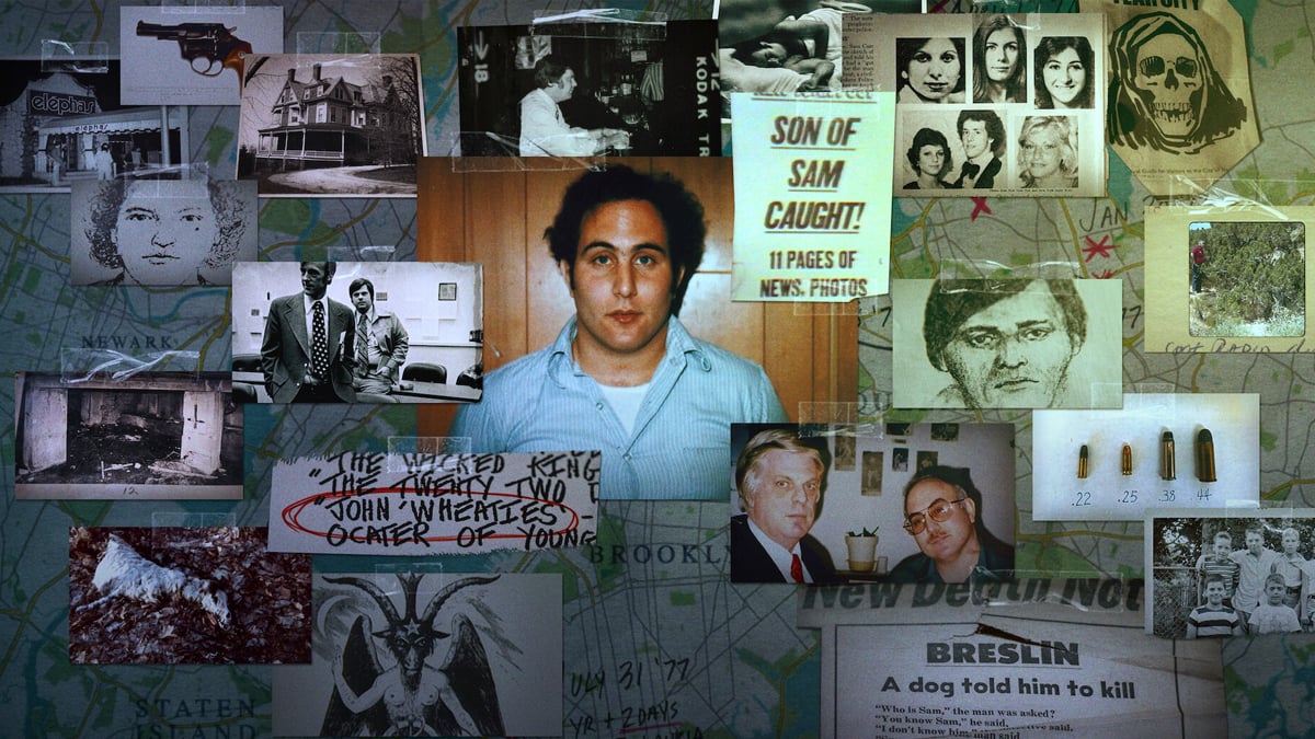 David Berkowitz 2