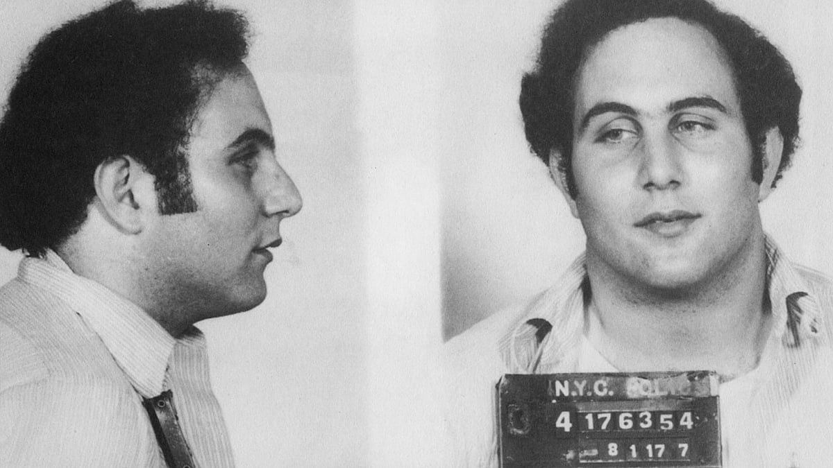 David Berkowitz 3