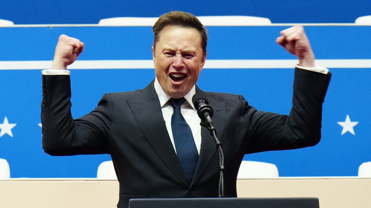 elon musk partei 2