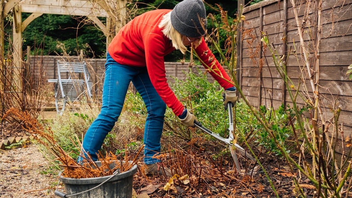 Bis zu 50.000 Bußgeld drohen: Diese Fehler sollte man im Herbst nicht machen 7 Frau bei Gartenarbeit im Herbst