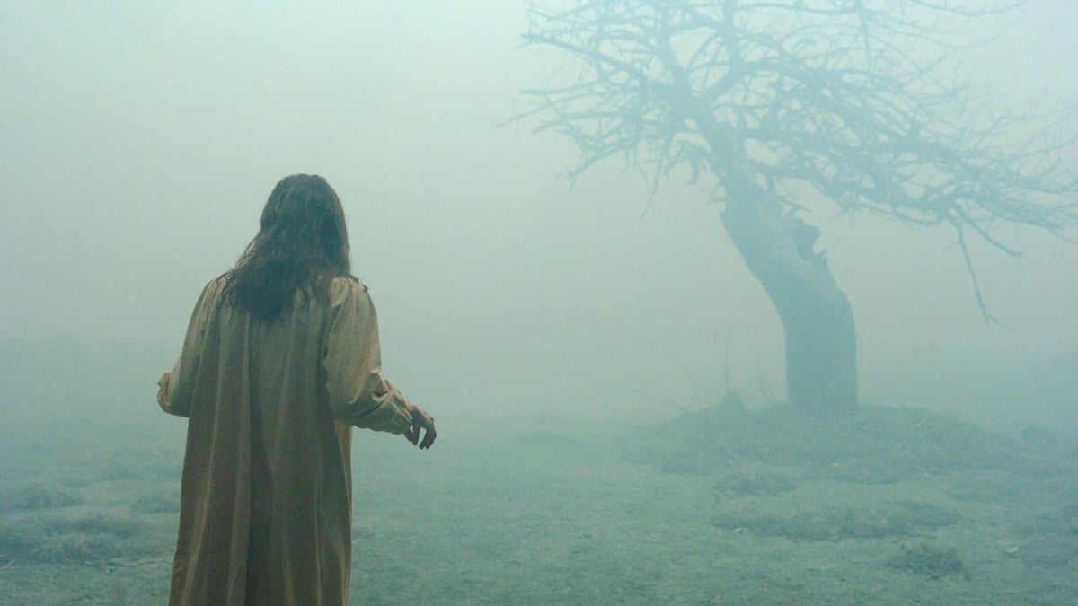 Laut Studie: Das sind die gruseligsten Horrorfilme aller Zeiten 2 Szene aus dem Horrorfilm „Der Exorzismus von Emiliy Rose“, in der eine junge Frau bei Nebel im Nachthemd auf einen toten Baum zuläuft