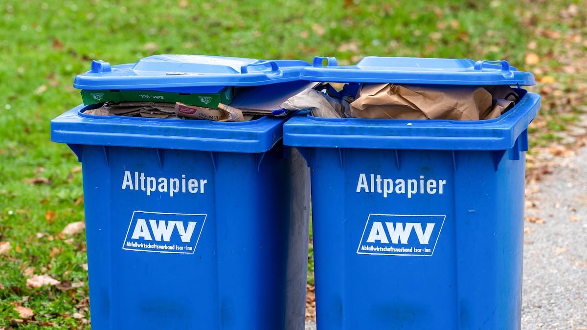 Altpapier in zwei blauen Mülltonnen, die nebeneinander stehen