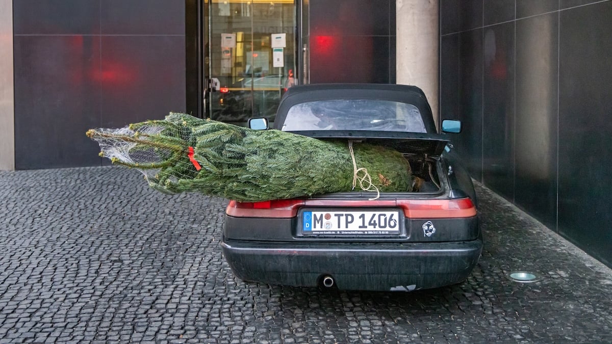 Schwarzes, geparktes Auto, das einen eingepackten Weihnachtsbaum im offenen Kofferraum hat